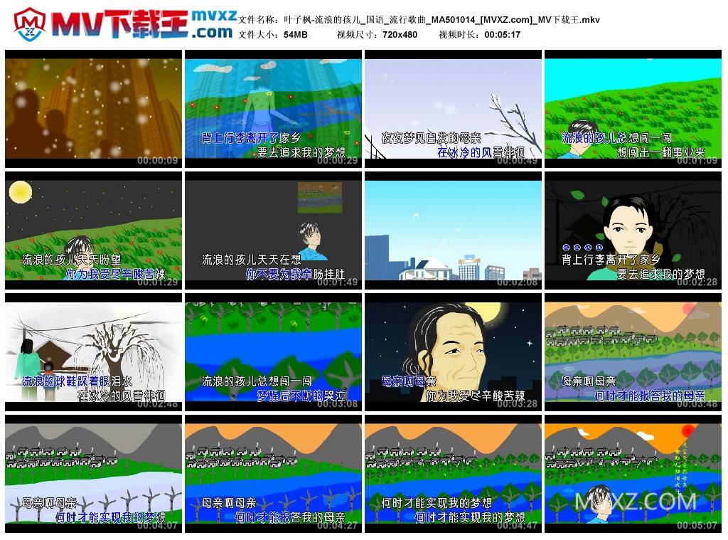 叶子枫-流浪的孩儿_国语_流行歌曲_MA501014